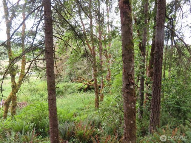 Land for sale in Thurston, Washington