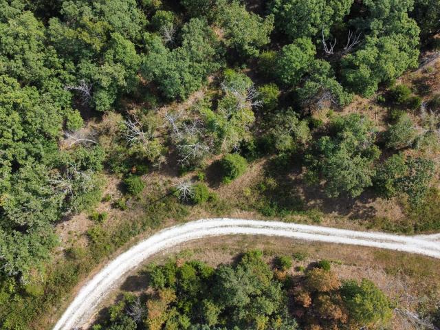 Land for sale in Wheatland, Hickory County