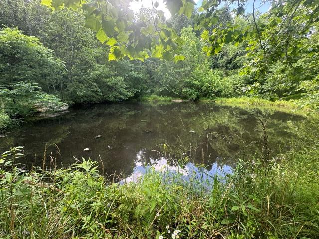 Land for sale in New Matamoras, Ohio
