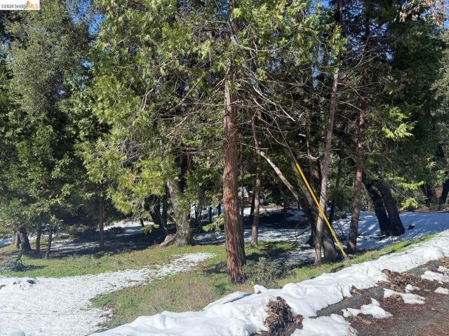 Land for sale in Sonora, California