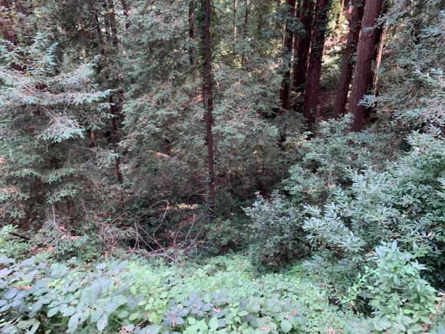 Land for sale in Redwood Estates, California