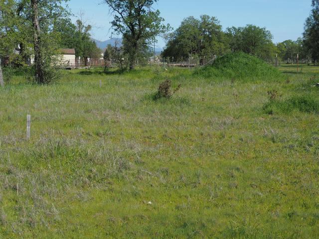 Land for sale in Shasta, California