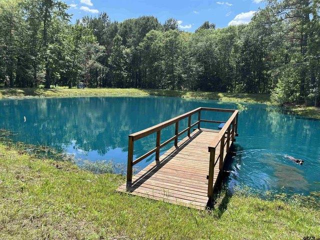 Land for sale in Neches, Texas