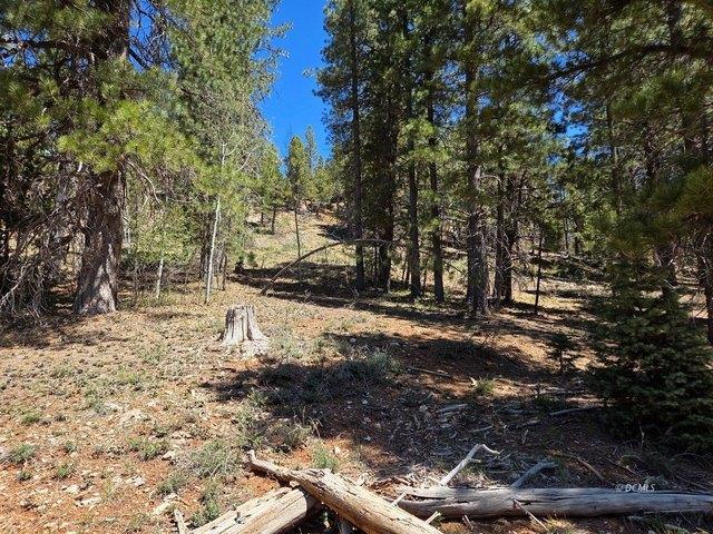 Land for sale in Duck Creek Village, Utah