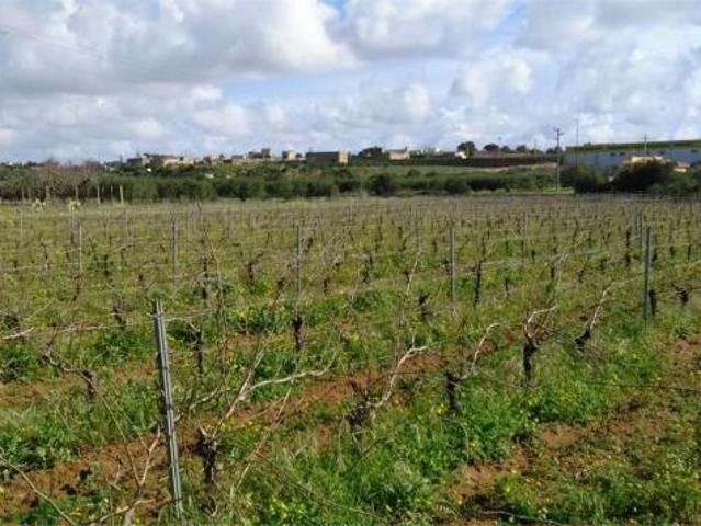 Terreno in vendita a Marsala, Sicilia