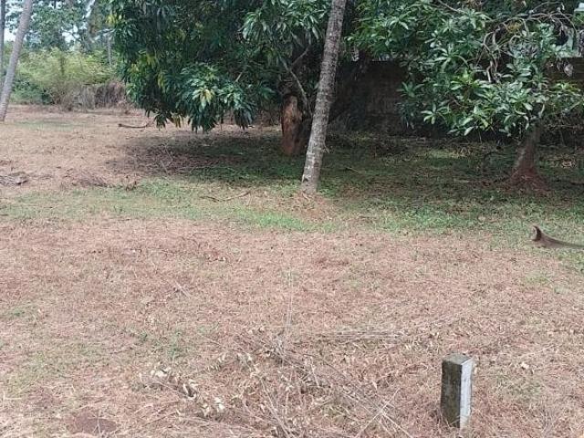 Land for sale in Thrissur, Kerala