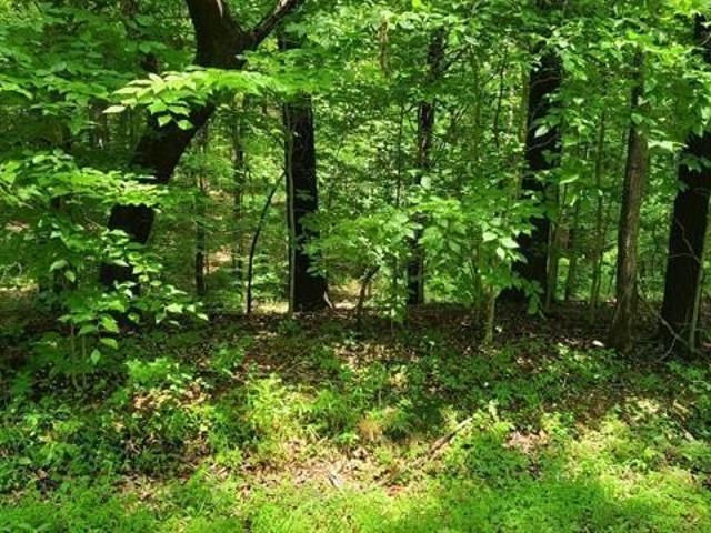 Land for sale in Murray, Calloway County
