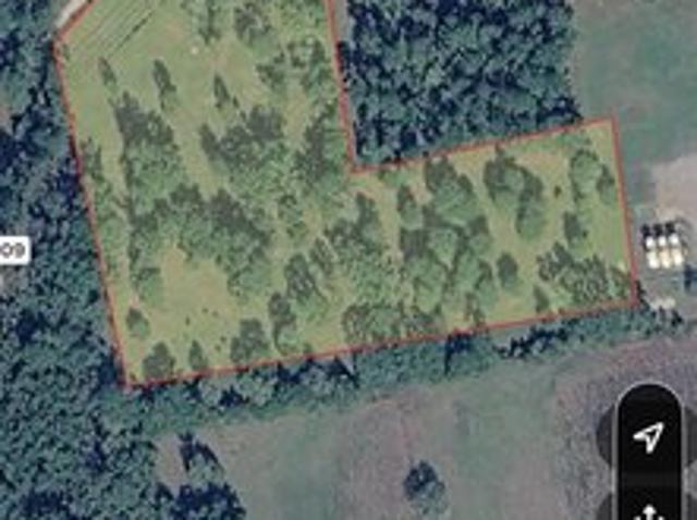 Land for sale in Call, Newton County