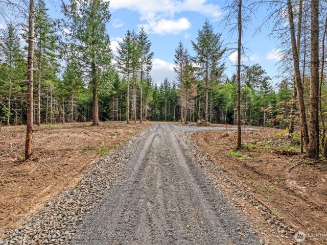 Land for sale in Castle Rock, Washington