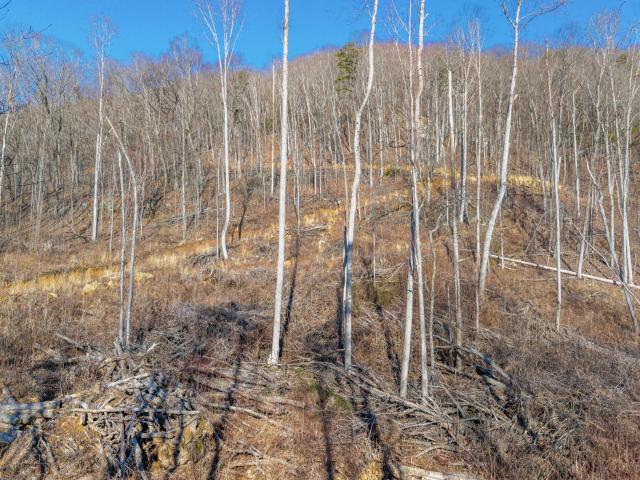 Land for sale in Tennessee