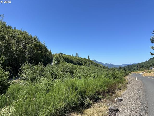 Land for sale in Amboy