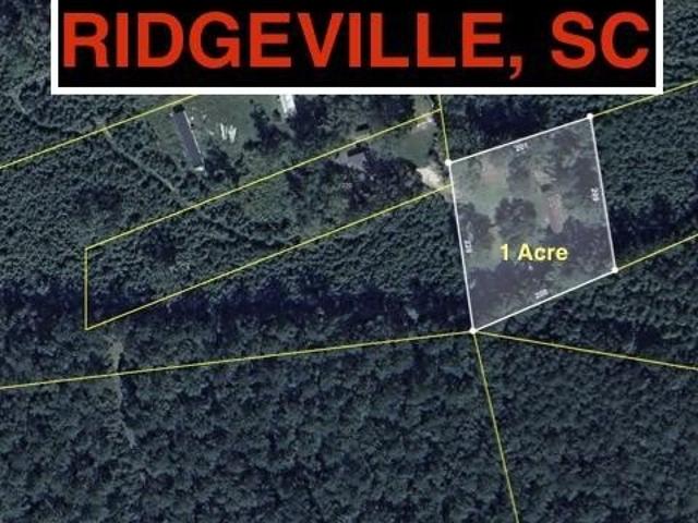 Land for sale in Ridgeville, Dorchester County