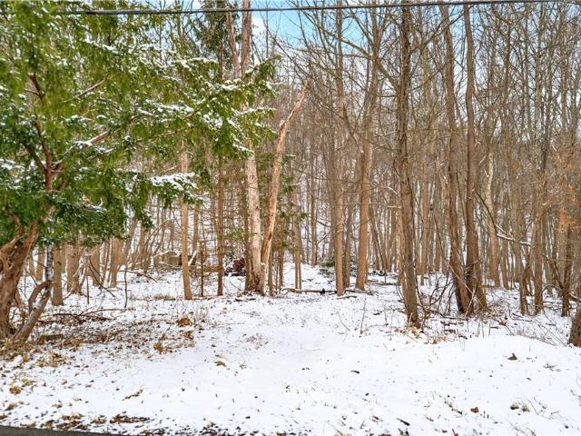 Land for sale in Indianola, Pennsylvania
