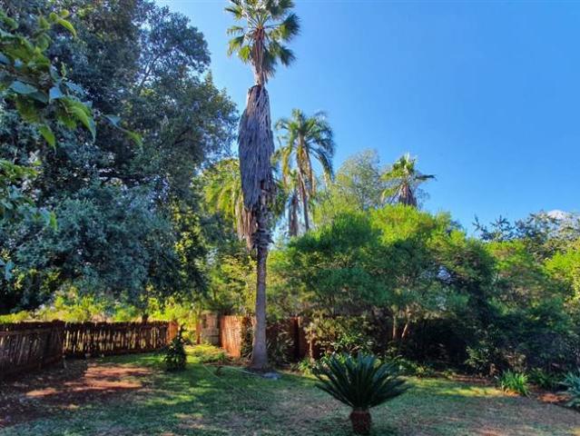 Farm for sale in Naboomspruit, Limpopo