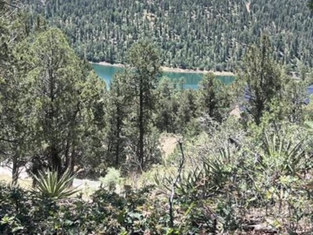 Land for sale in Alto, New Mexico