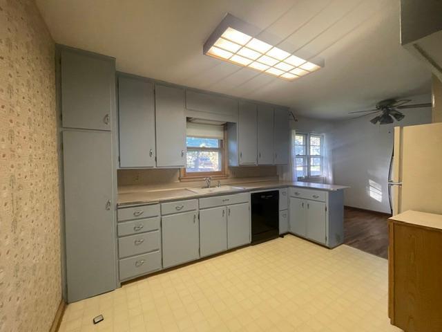 House for sale in Northfield, Rice County
