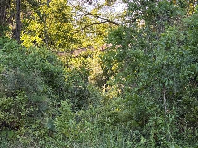 Land for sale in Winder, Barrow County