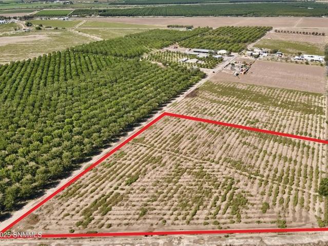Land for sale in Mesquite, Doña Ana County