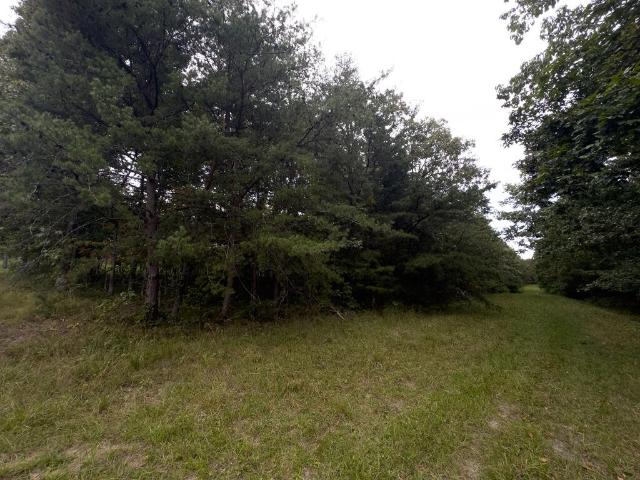 Land for sale in Tennessee