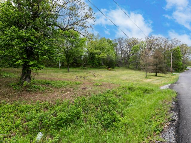 Land for sale in Buffalo, Dallas County