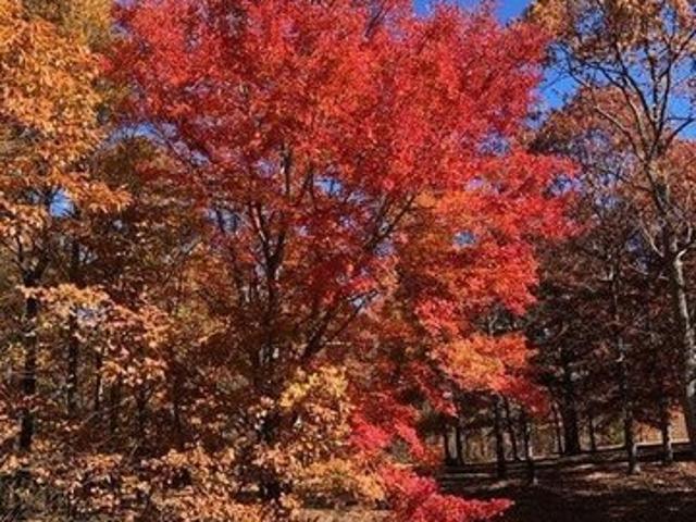 Land for sale in Tennessee