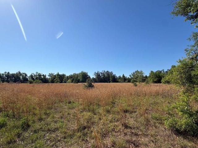Land for sale in Suwannee, Florida