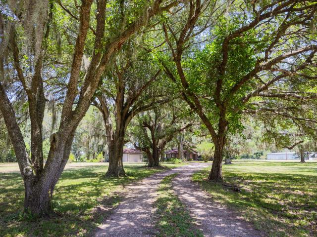 House for sale in Damon, Texas