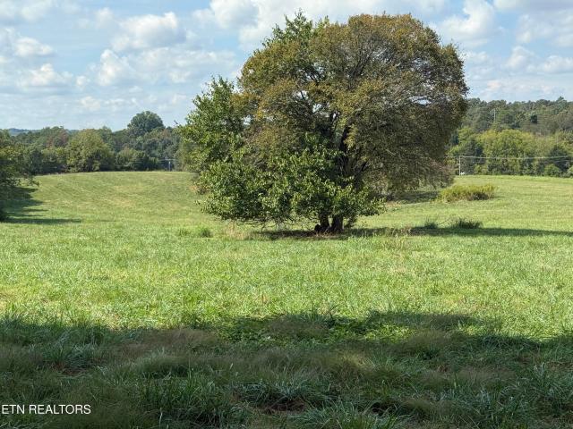 Land for sale in Martel, Lenoir City