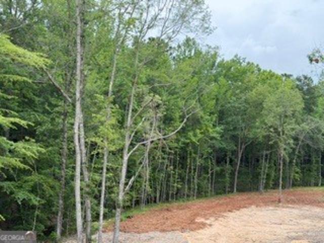 Land for sale in Molena, Georgia