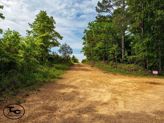 Land for sale in Tennessee