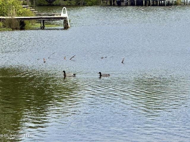 Land for sale in Bogue Chitto, Mississippi