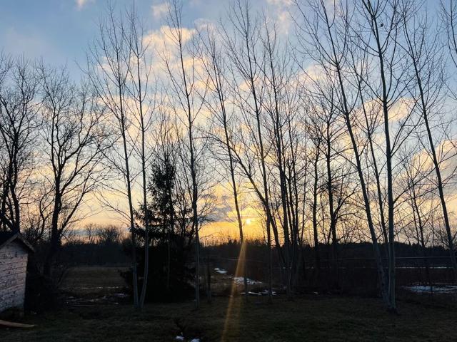 House for rent in Maple Grove, Clarington