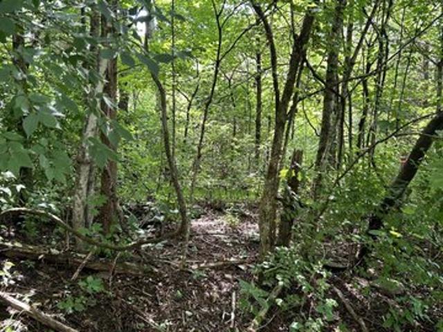 Farm for sale in Frankfort, Kentucky