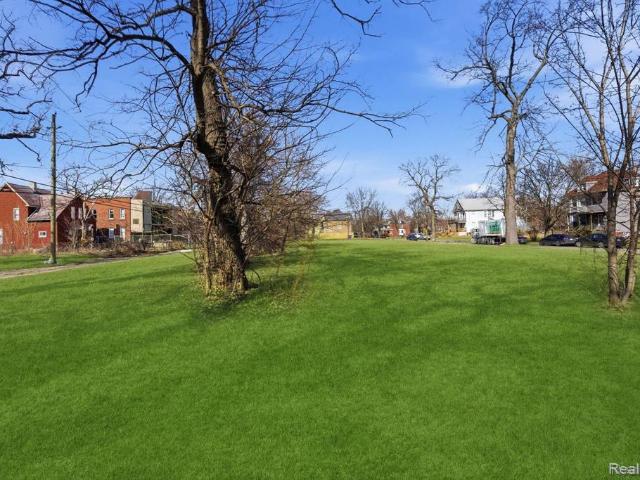 Land for sale in Detroit, Michigan