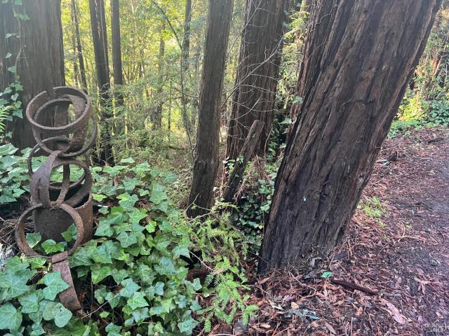 Property for sale in Monte Rio, California
