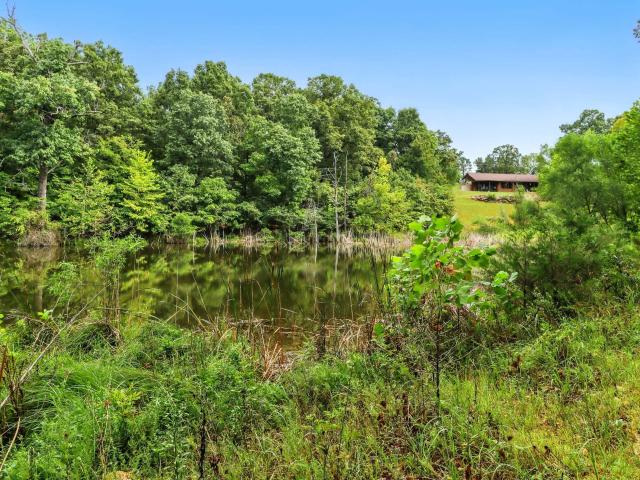 House for sale in Gainesville, Missouri