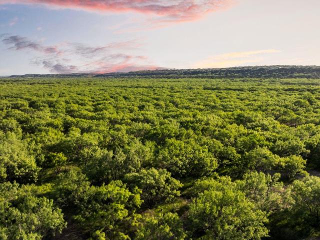 Farm for sale in Rochelle, Texas