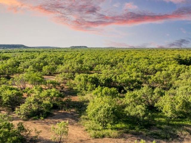Farm for sale in Rochelle, Texas