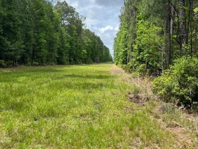 Land for sale in Saratoga, Texas