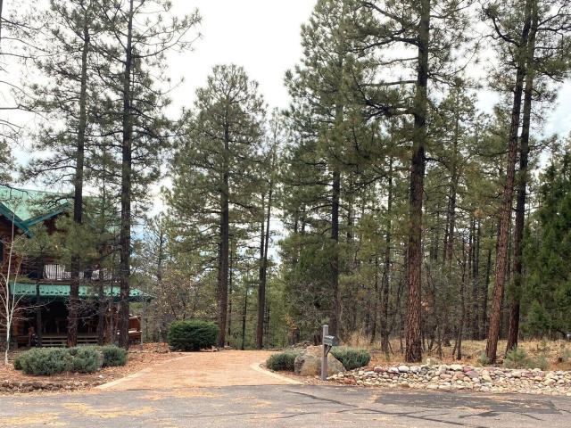 Land for sale in Navajo, Arizona