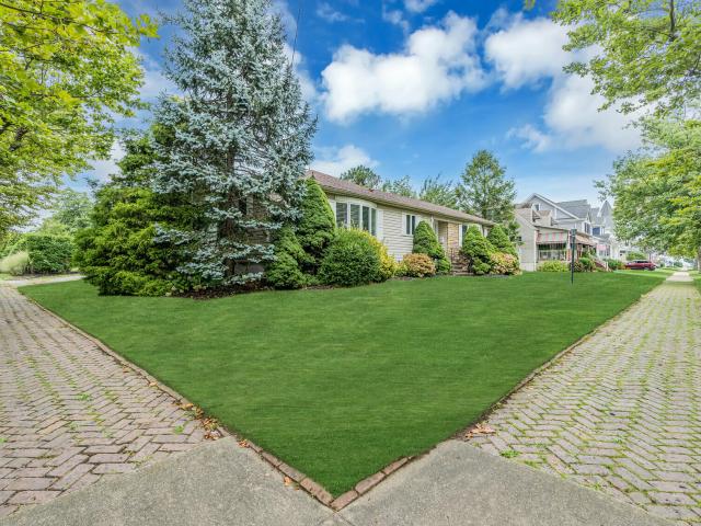 House for rent in Belmar