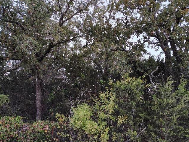 Land for sale in Callahan, Texas