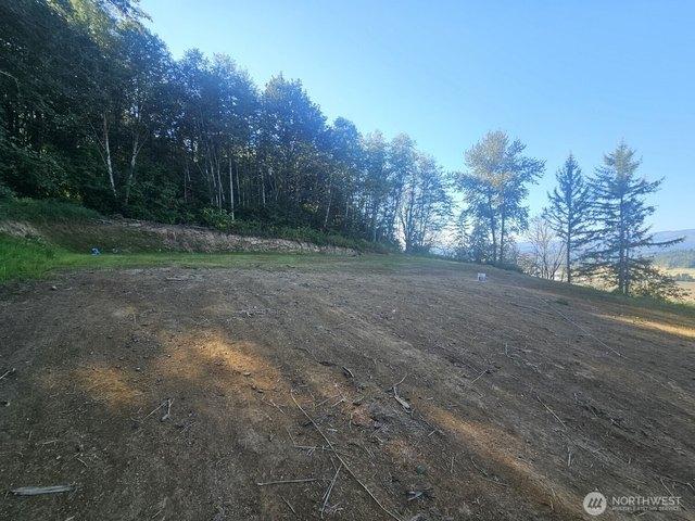 Land for sale in Mossyrock, Lewis County