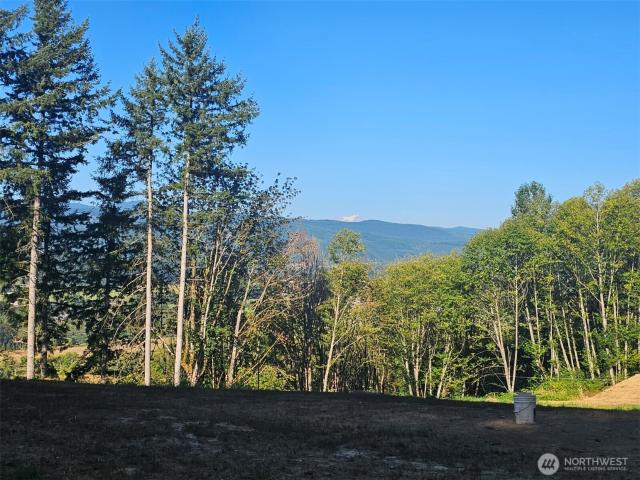 Land for sale in Mossyrock, Lewis County