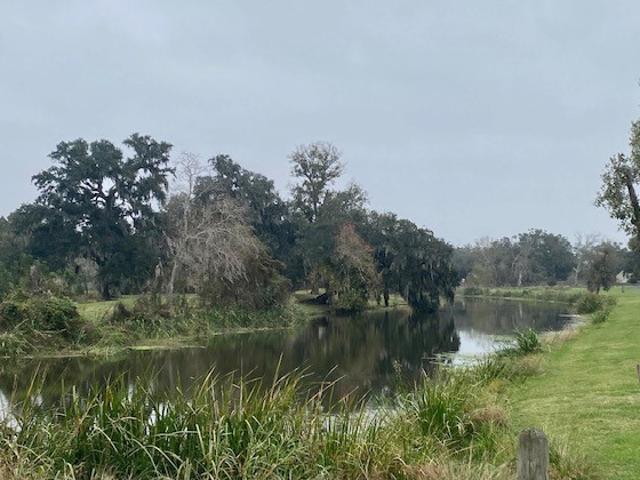 Land for sale in Angleton, Texas