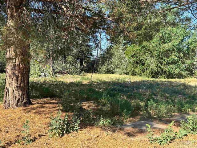 Land for sale in Shoshone, Idaho