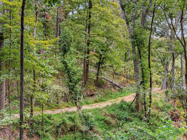 Land for sale in Hunting Creek Farms, Franklin