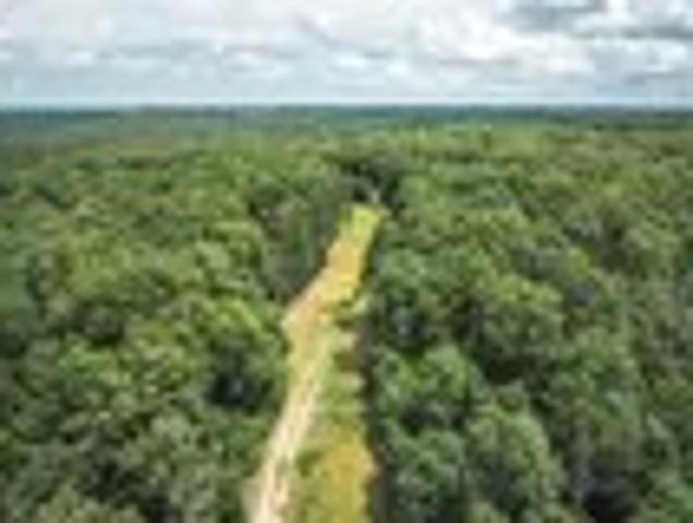 House for sale in Richland, Missouri