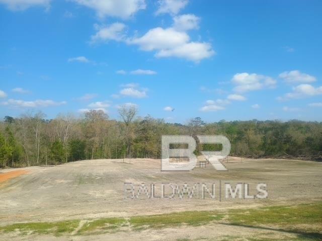 Land for sale in Coffeeville, Alabama