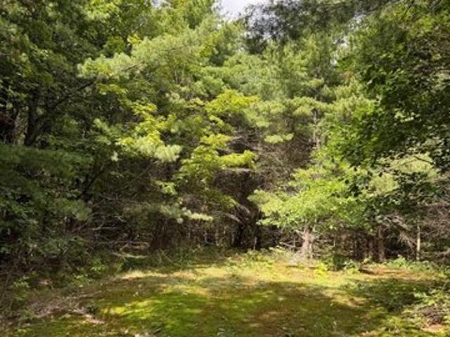 Land for sale in Berne, New York